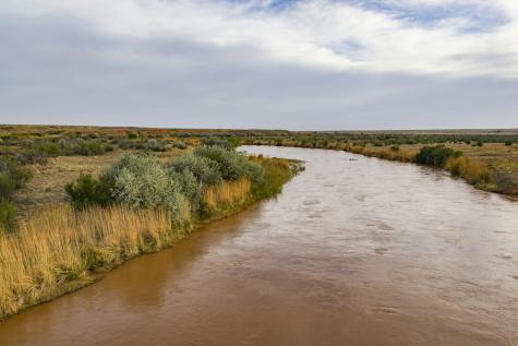 315 Cricket Road Fort Sumner NM 88119