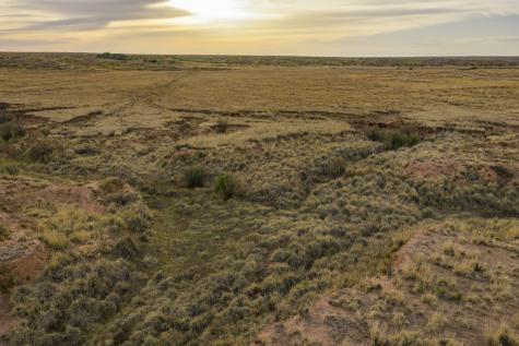 315 Cricket Road Fort Sumner NM 88119