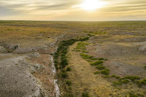 315 Cricket Road Fort Sumner NM 88119