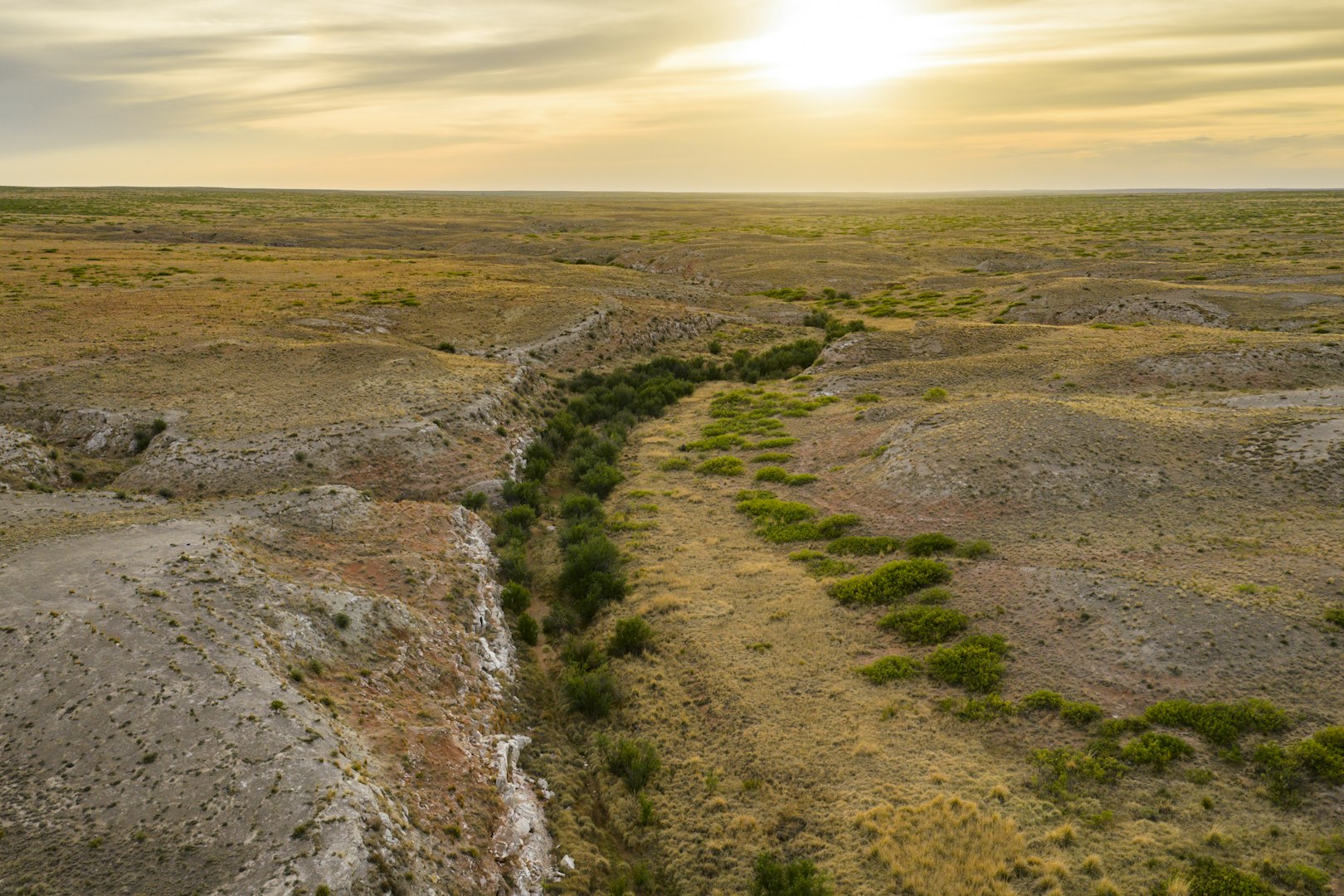 315 Cricket Road Fort Sumner NM 88119