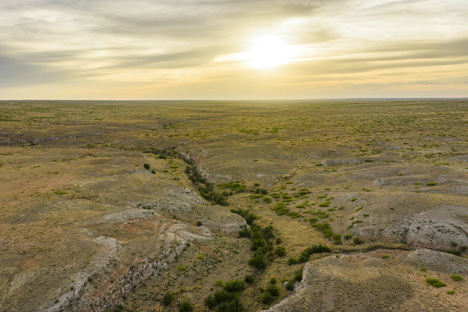 315 Cricket Road Fort Sumner NM 88119