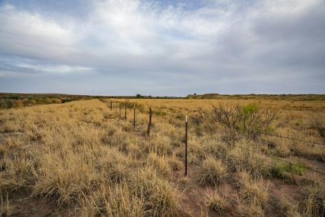 315 Cricket Road Fort Sumner NM 88119