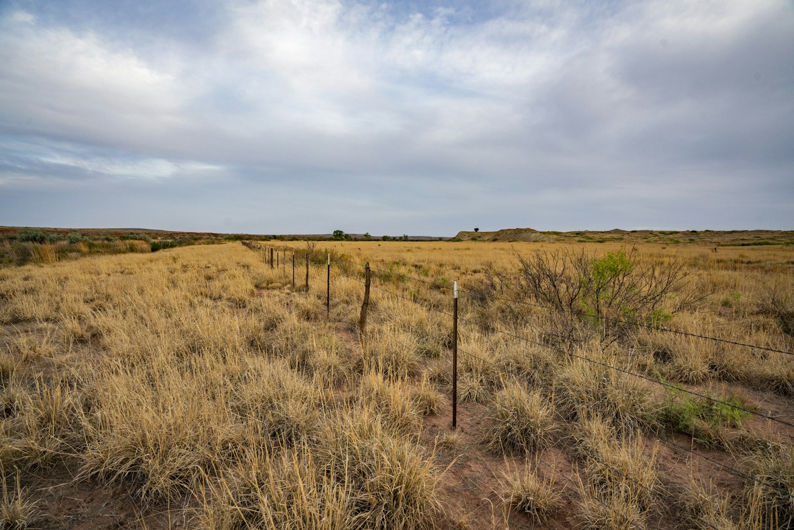 315 Cricket Road Fort Sumner NM 88119