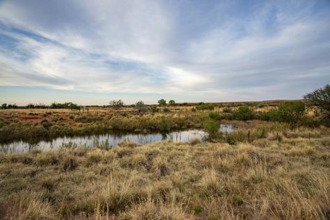 315 Cricket Road Fort Sumner NM 88119