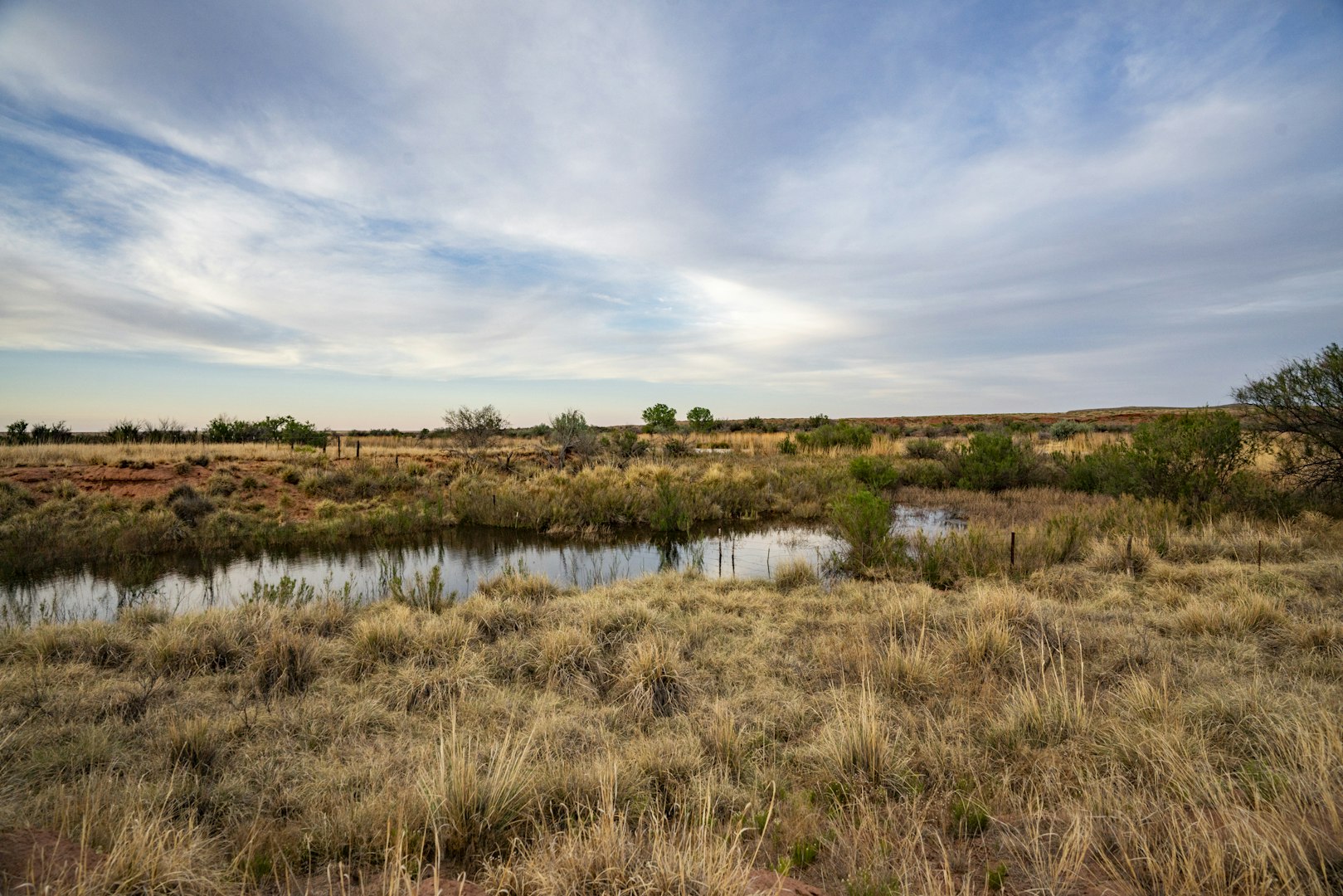 315 Cricket Road Fort Sumner NM 88119