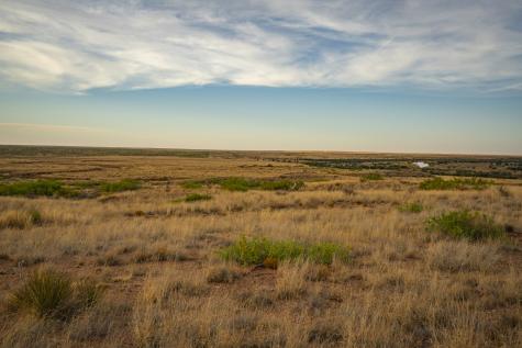 315 Cricket Road Fort Sumner NM 88119