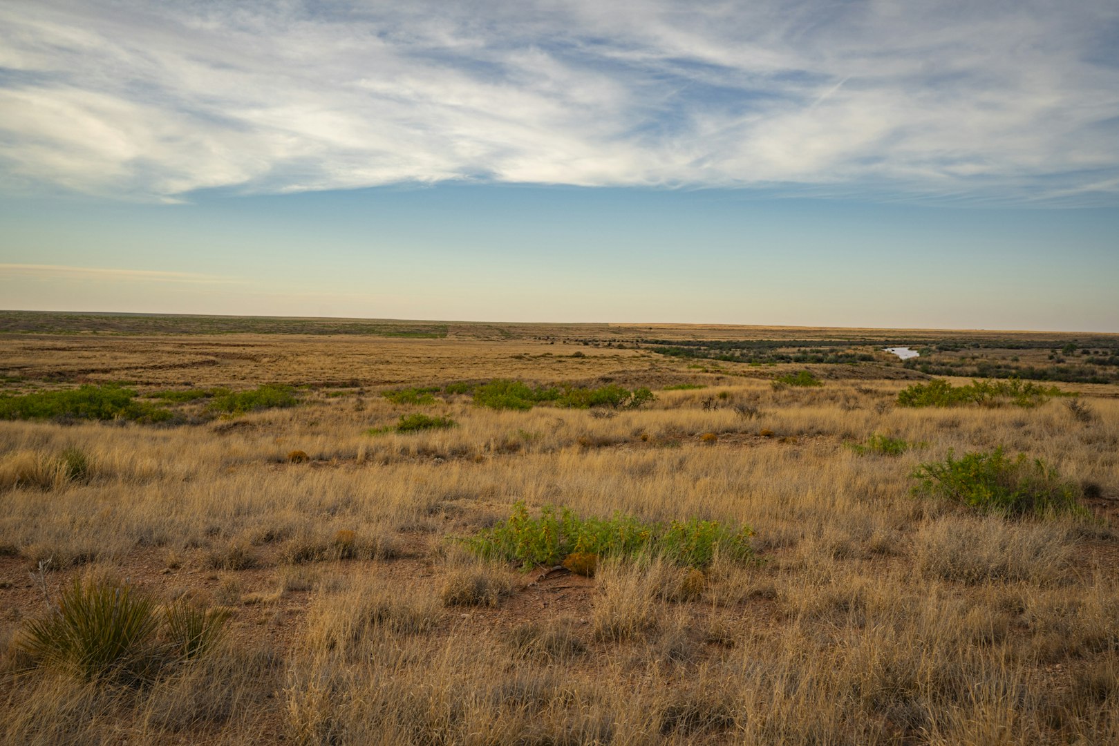 315 Cricket Road Fort Sumner NM 88119