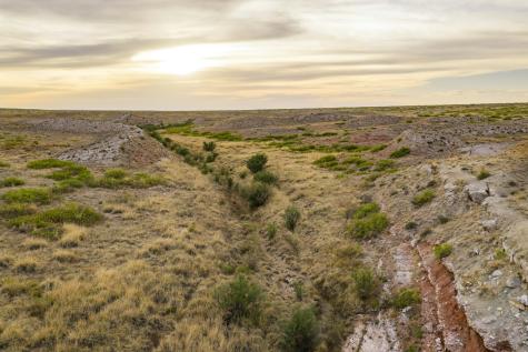 315 Cricket Road Fort Sumner NM 88119