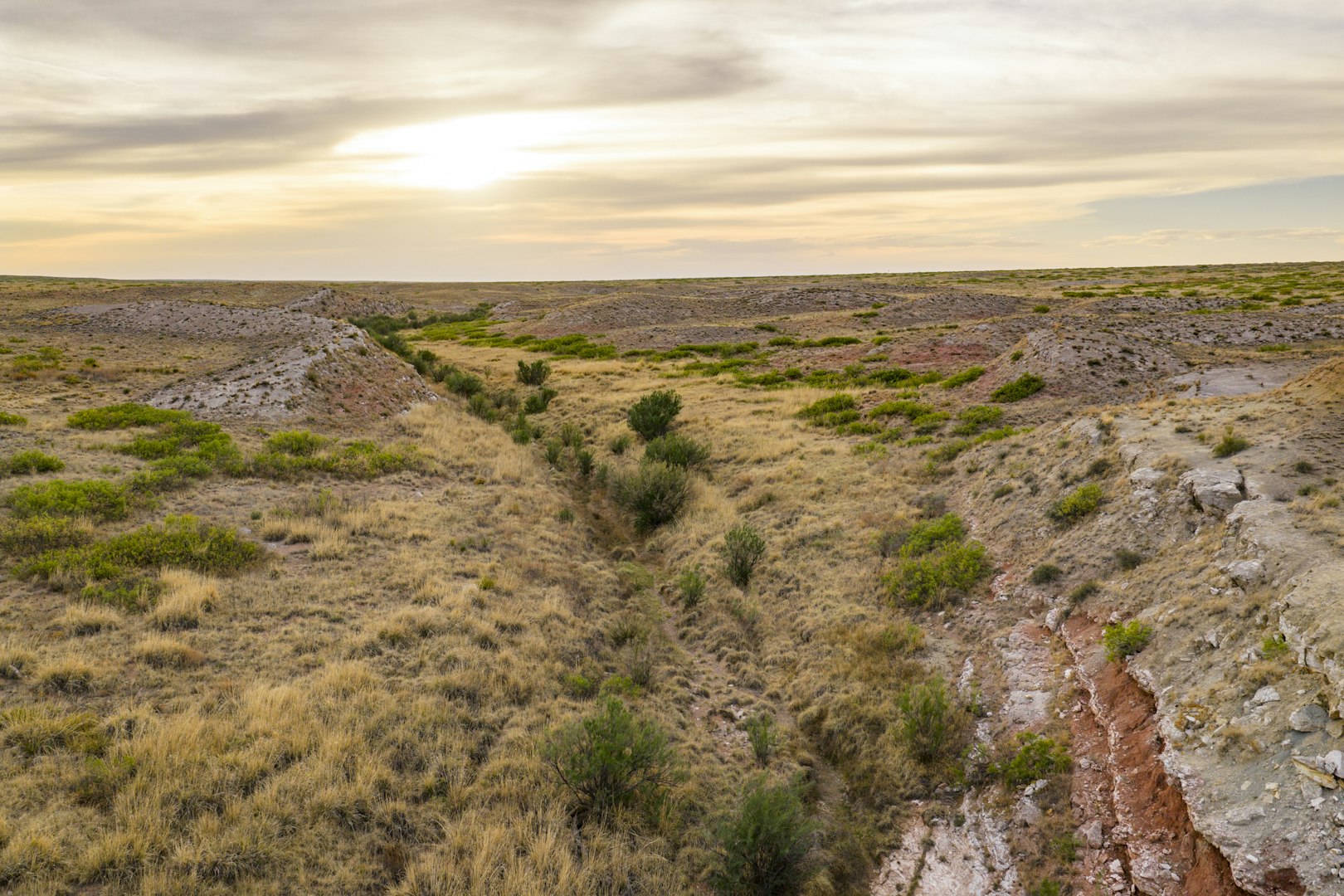 315 Cricket Road Fort Sumner NM 88119