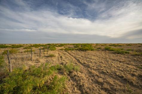 315 Cricket Road Fort Sumner NM 88119