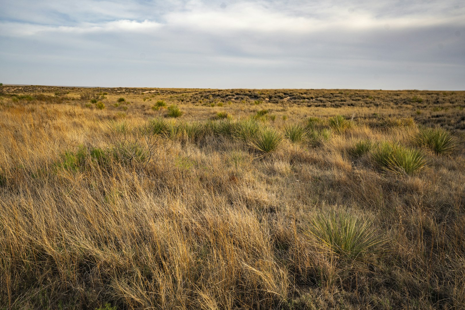 315 Cricket Road Fort Sumner NM 88119