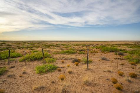 315 Cricket Road Fort Sumner NM 88119