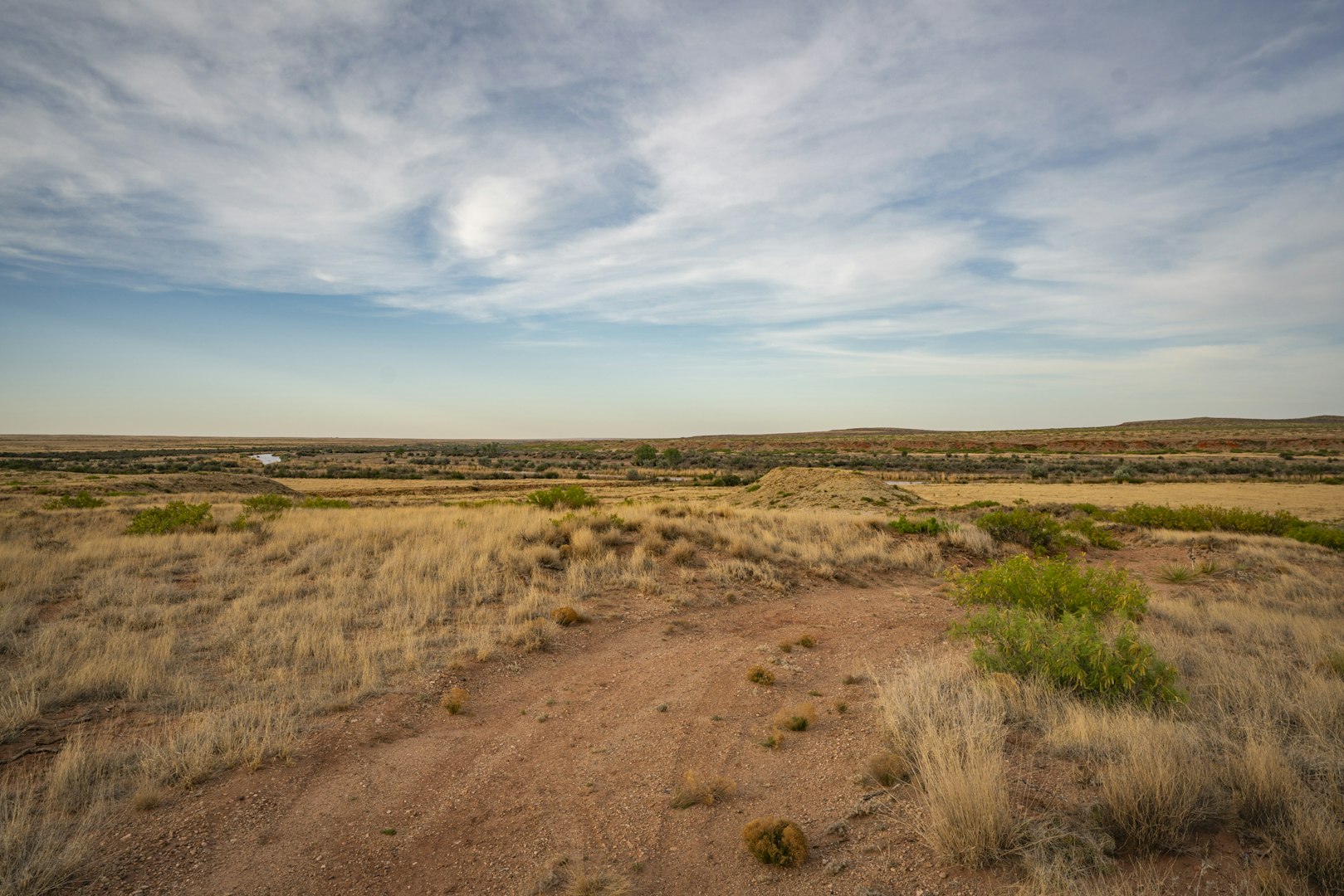 315 Cricket Road Fort Sumner NM 88119