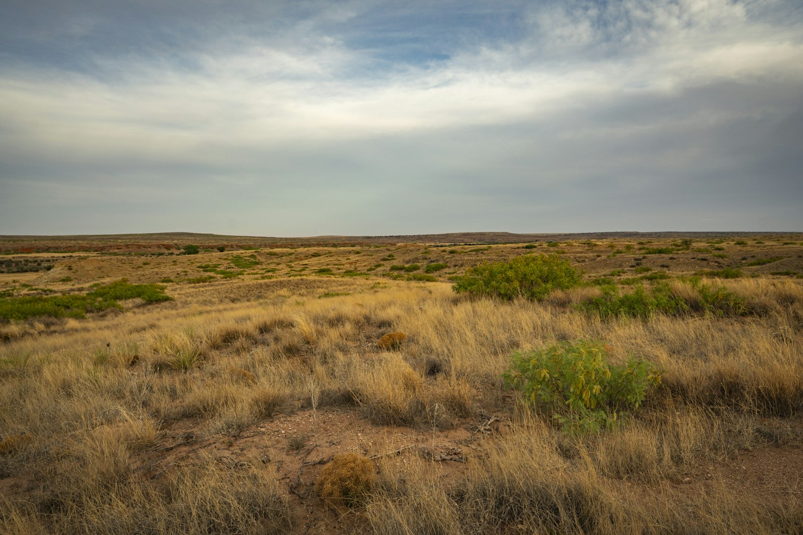 315 Cricket Road Fort Sumner NM 88119