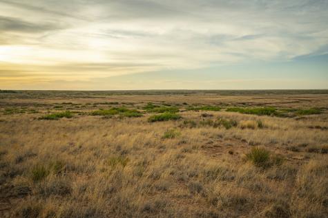 315 Cricket Road Fort Sumner NM 88119