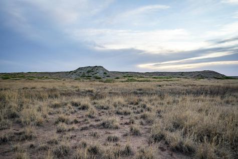 315 Cricket Road Fort Sumner NM 88119