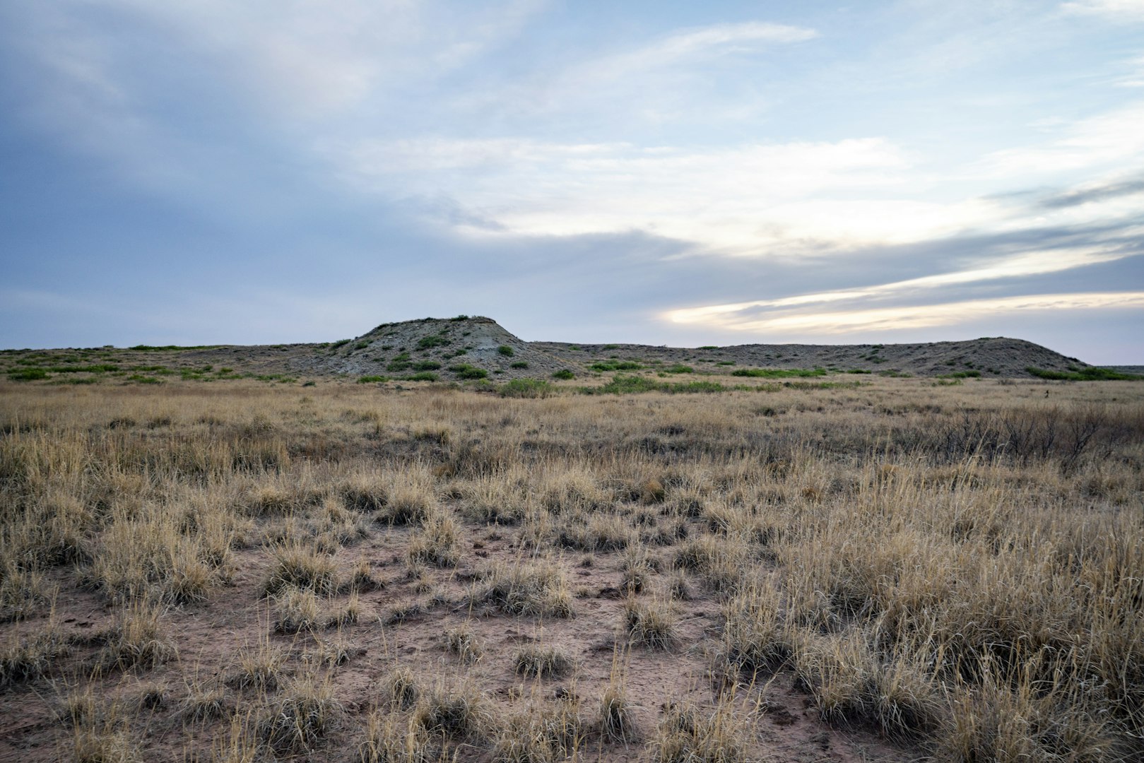 315 Cricket Road Fort Sumner NM 88119