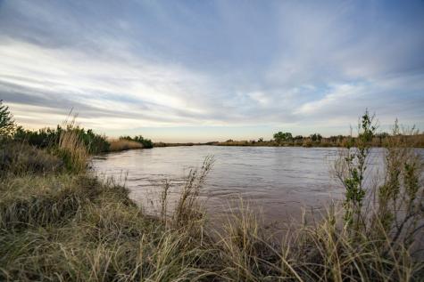 315 Cricket Road Fort Sumner NM 88119
