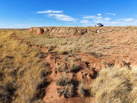 315 Cricket Road Fort Sumner NM 88119