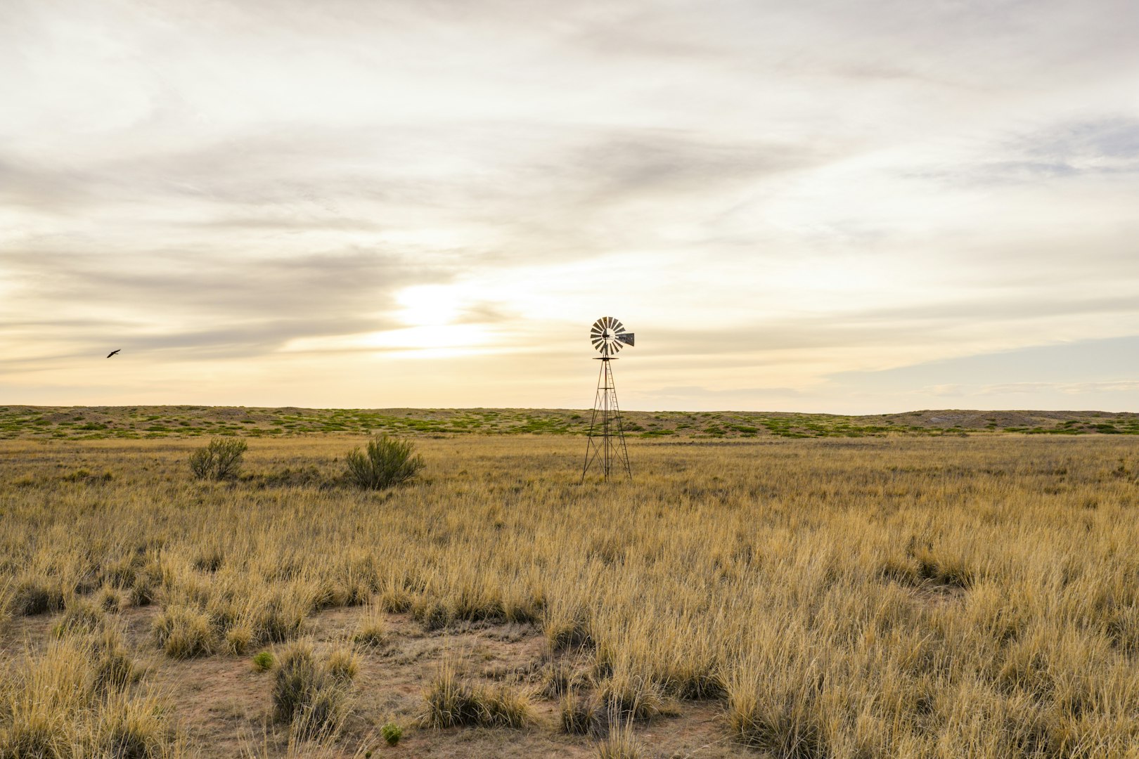 315 Cricket Road Fort Sumner NM 88119