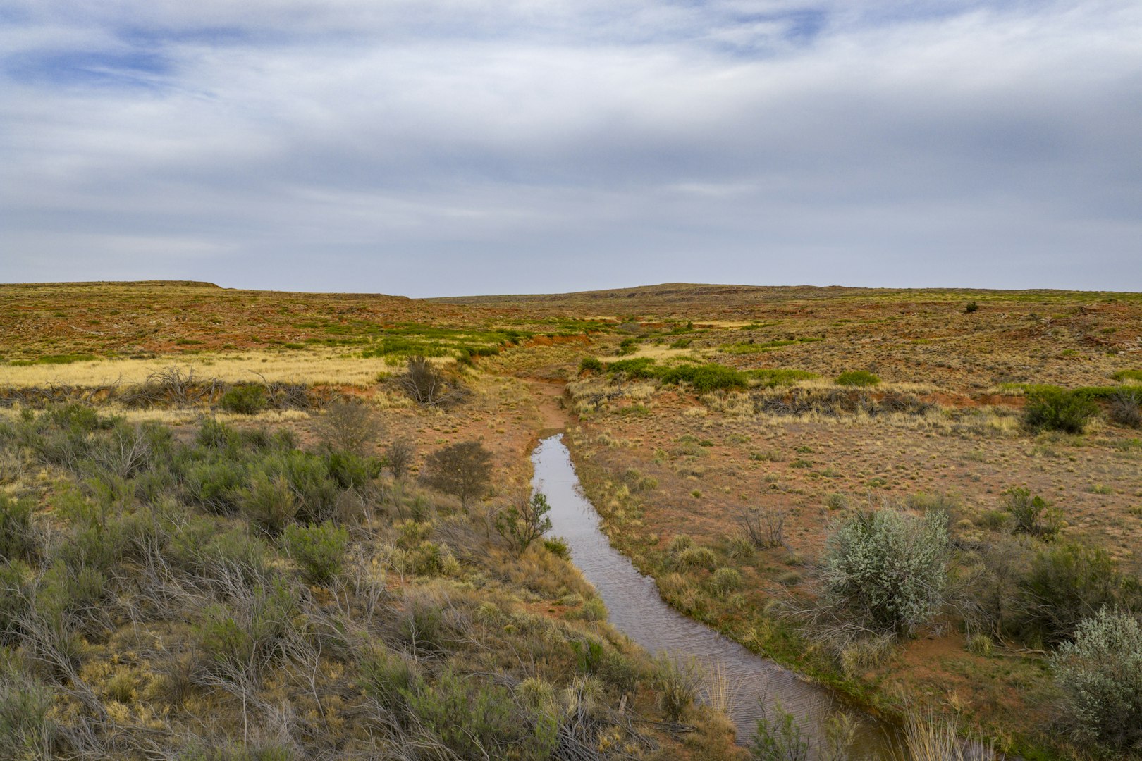 315 Cricket Road Fort Sumner NM 88119