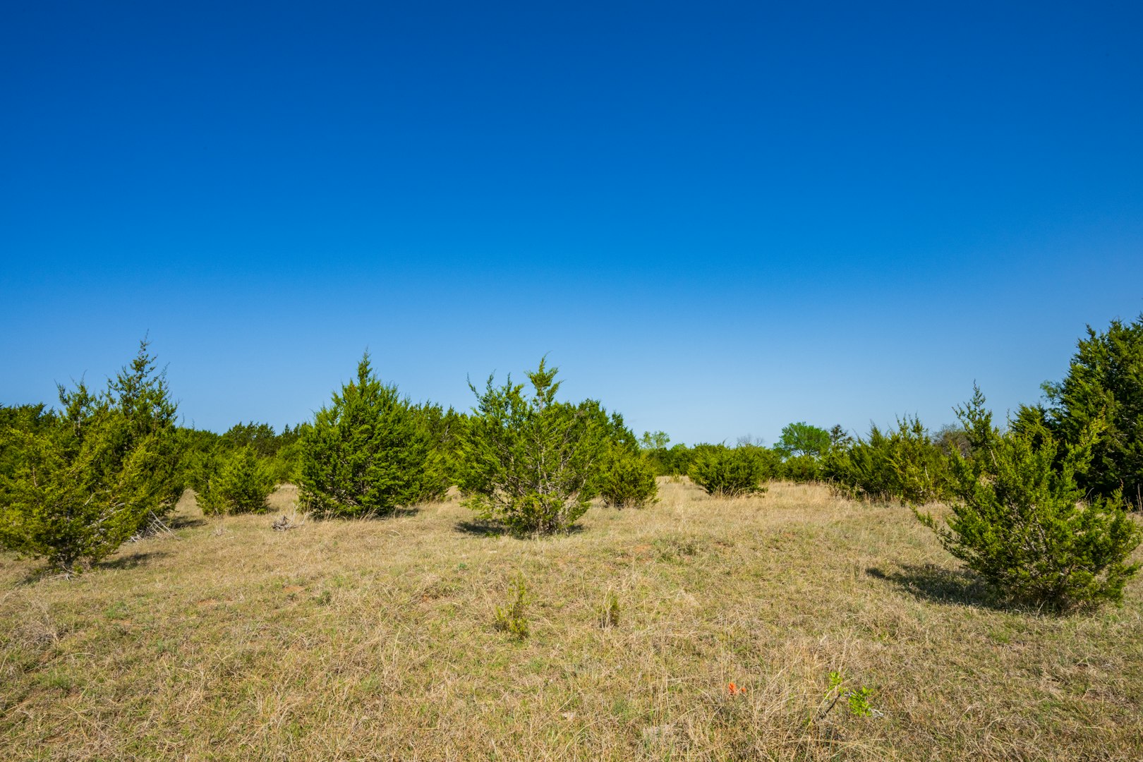 0 Farm To Market 1241 Purmela TX 76566