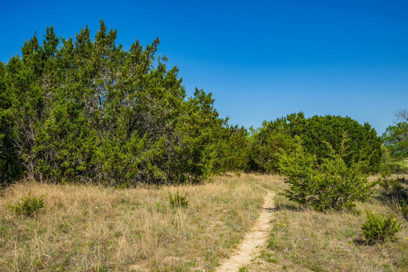 0 Farm To Market 1241 Purmela TX 76566
