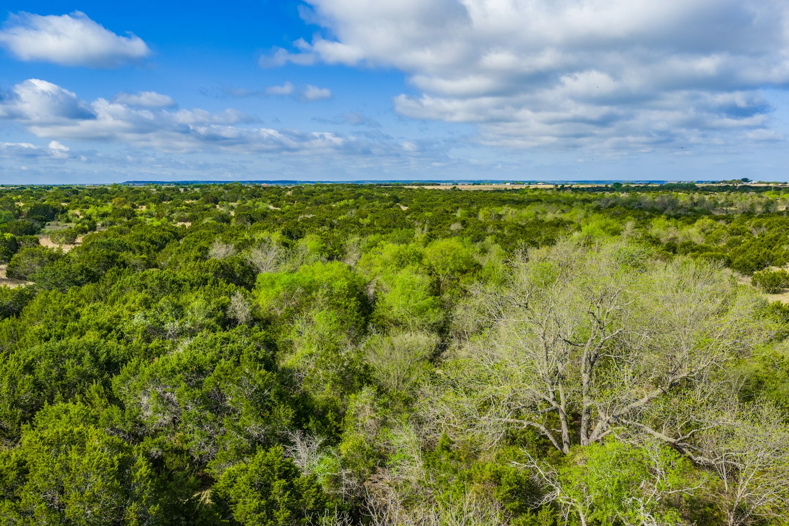 0 Farm To Market 1241 Purmela TX 76566