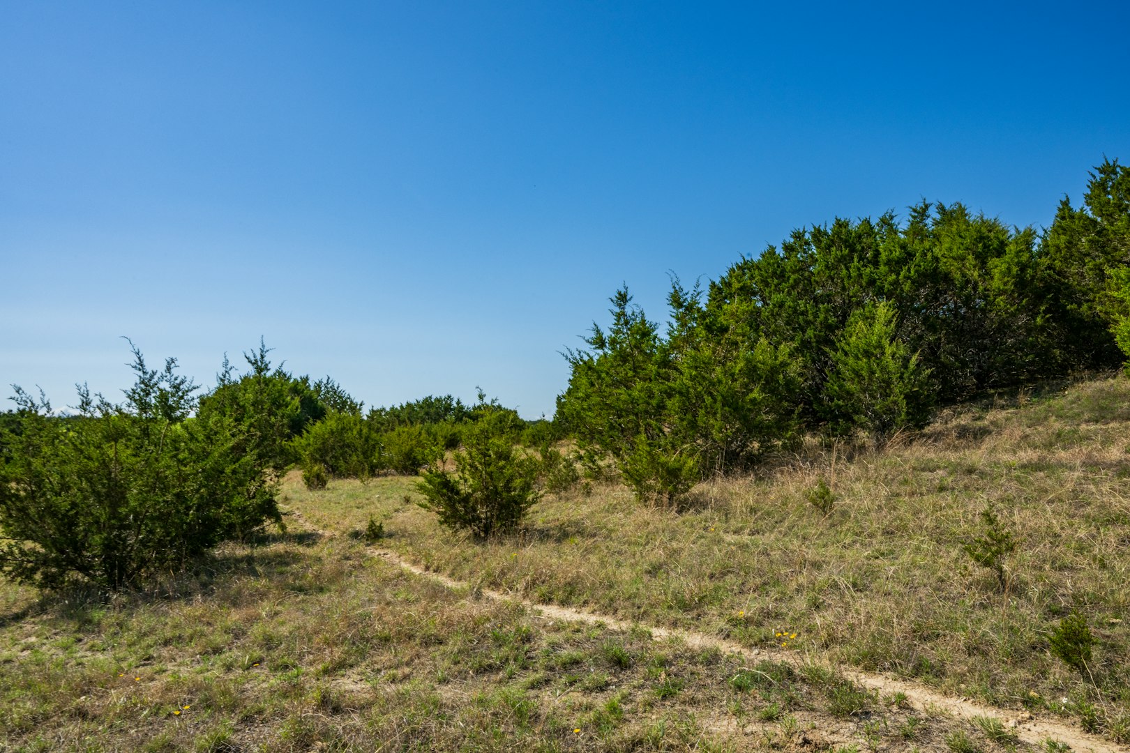 0 Farm To Market 1241 Purmela TX 76566