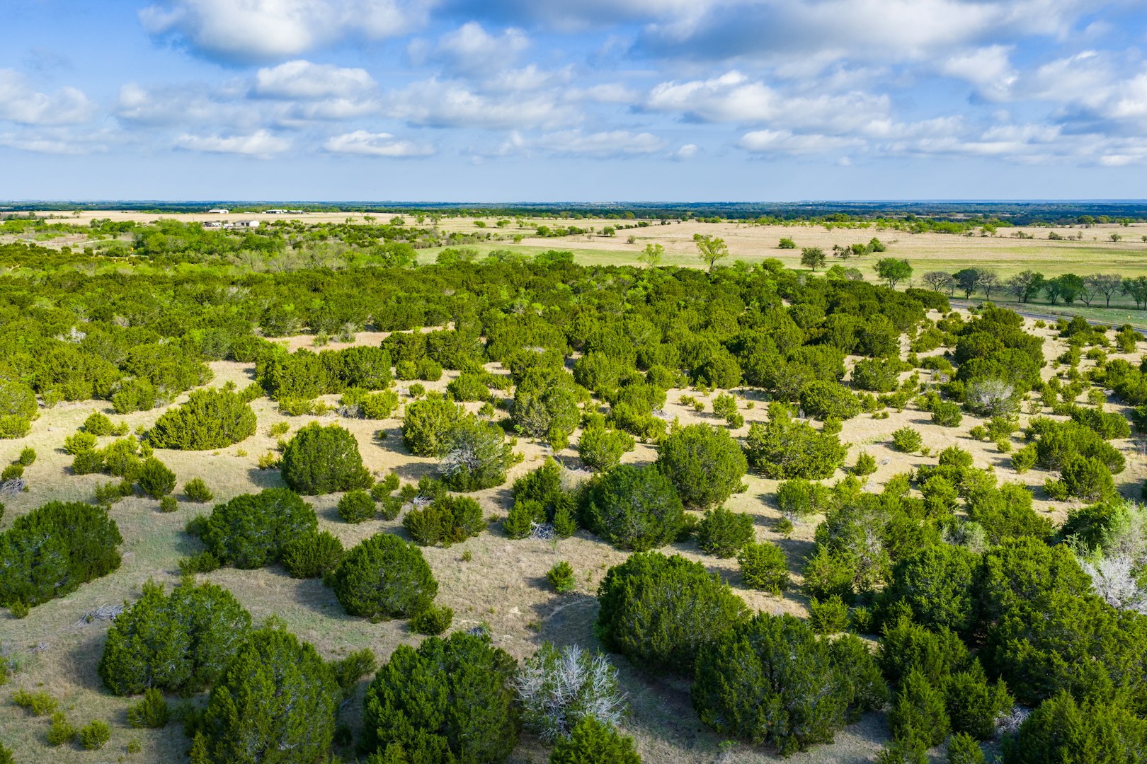 0 Farm To Market 1241 Purmela TX 76566
