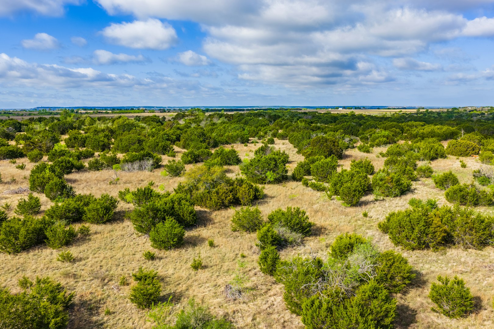 0 Farm To Market 1241 Purmela TX 76566