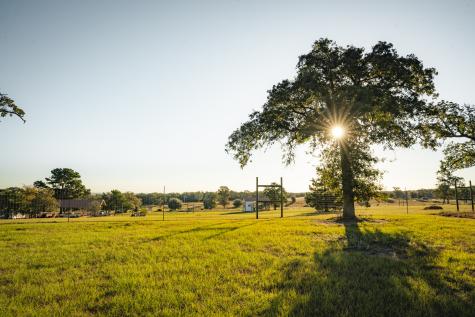 849 County Road 331a Milano TX 76556