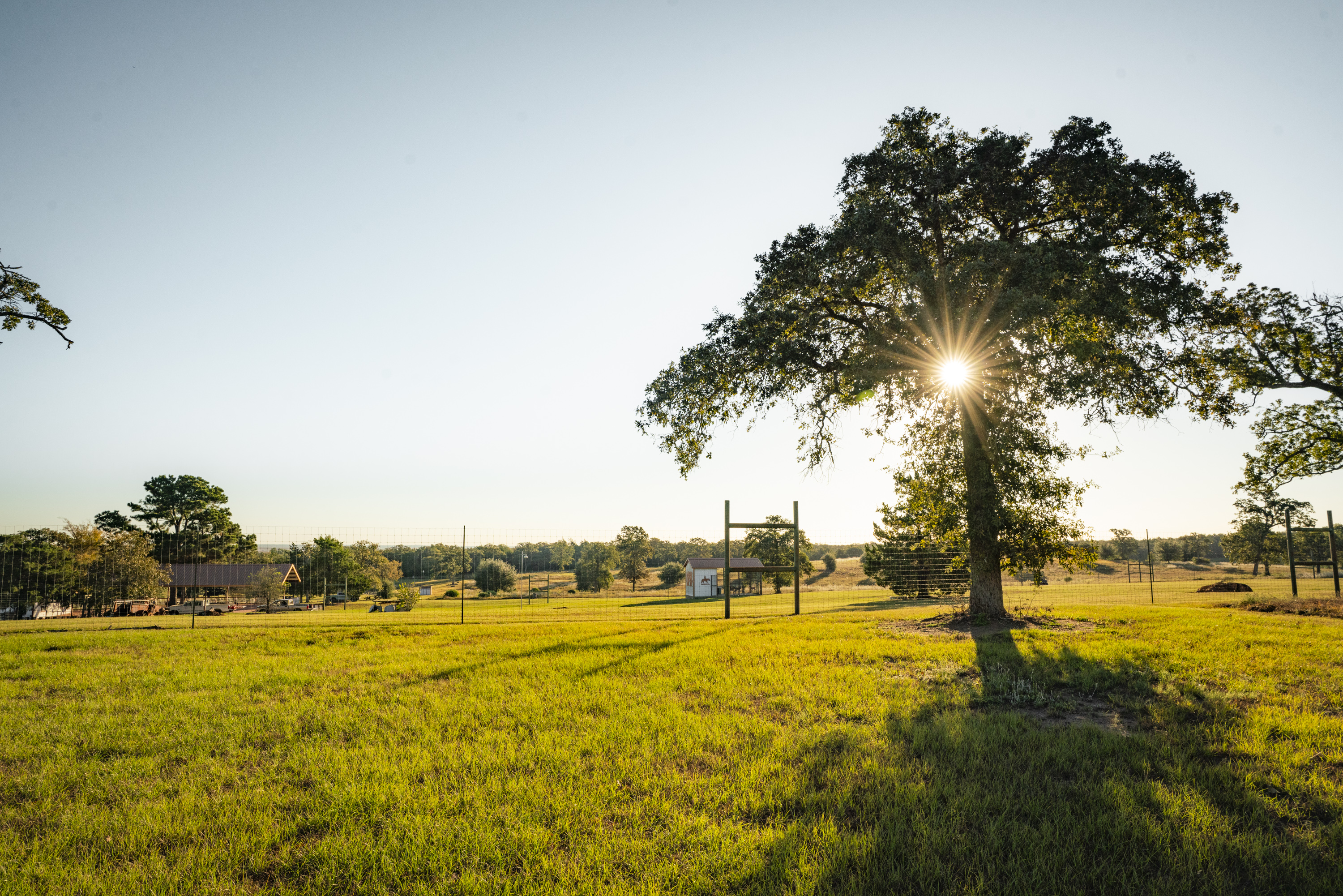 849 County Road 331a Milano TX 76556