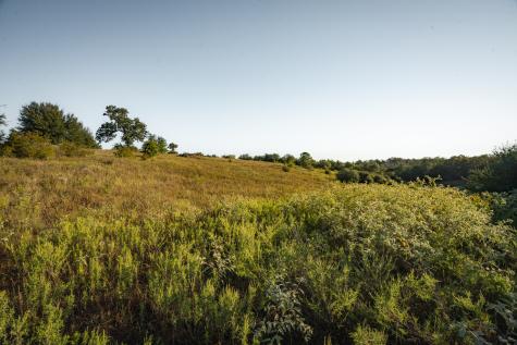 849 County Road 331a Milano TX 76556
