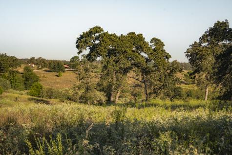 849 County Road 331a Milano TX 76556