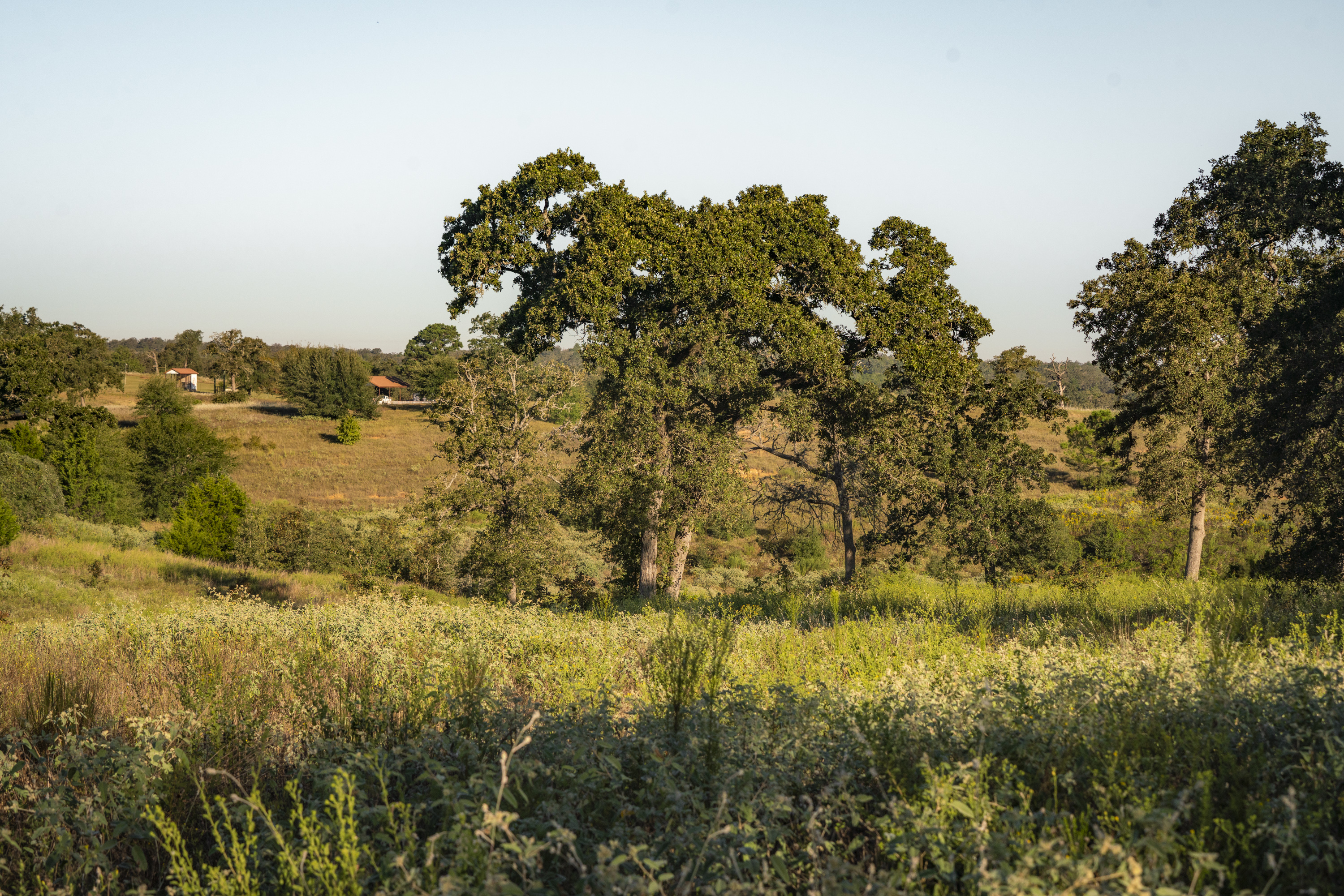 849 County Road 331a Milano TX 76556