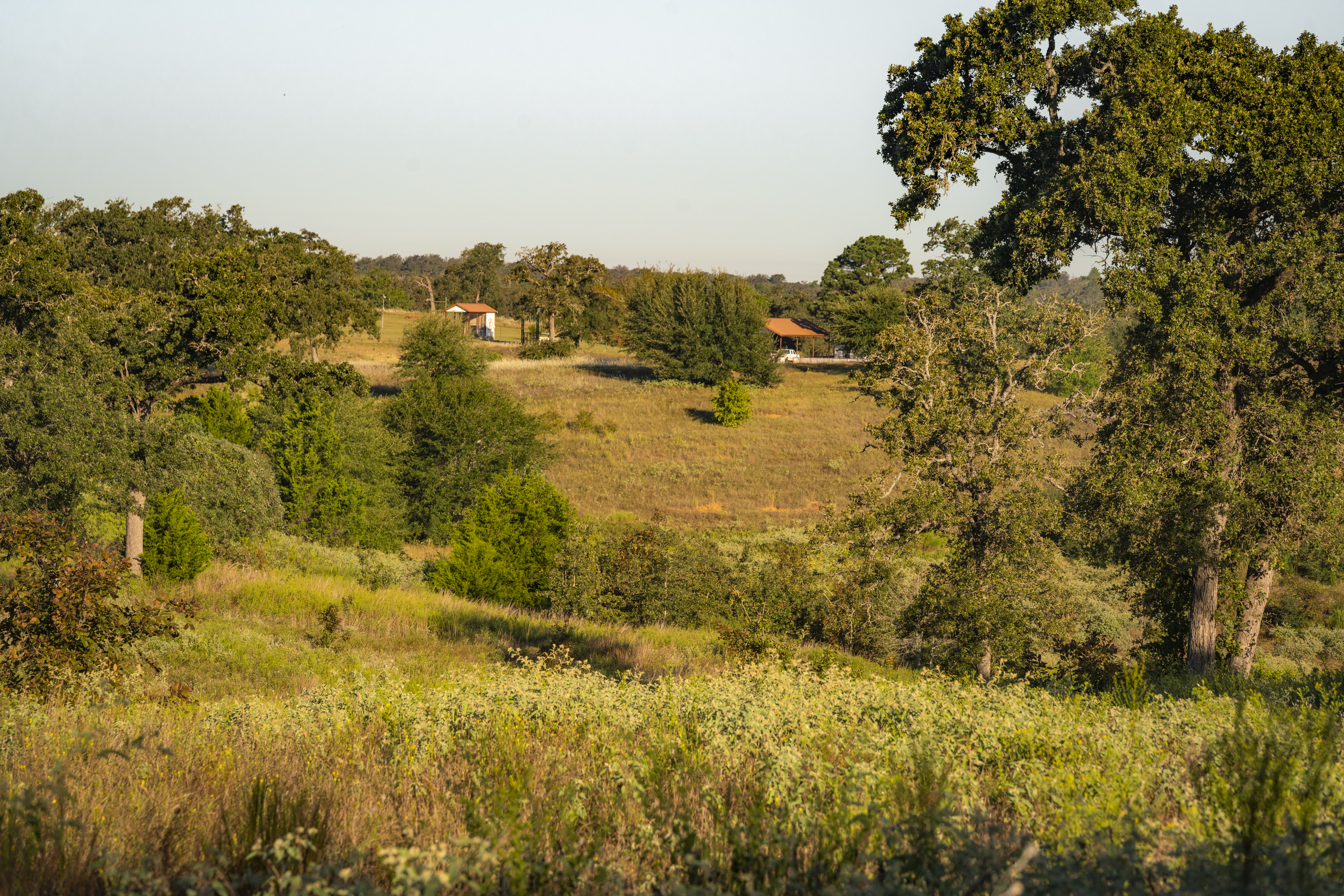849 County Road 331a Milano TX 76556