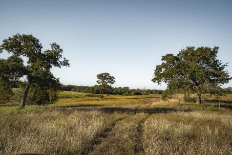 849 County Road 331a Milano TX 76556
