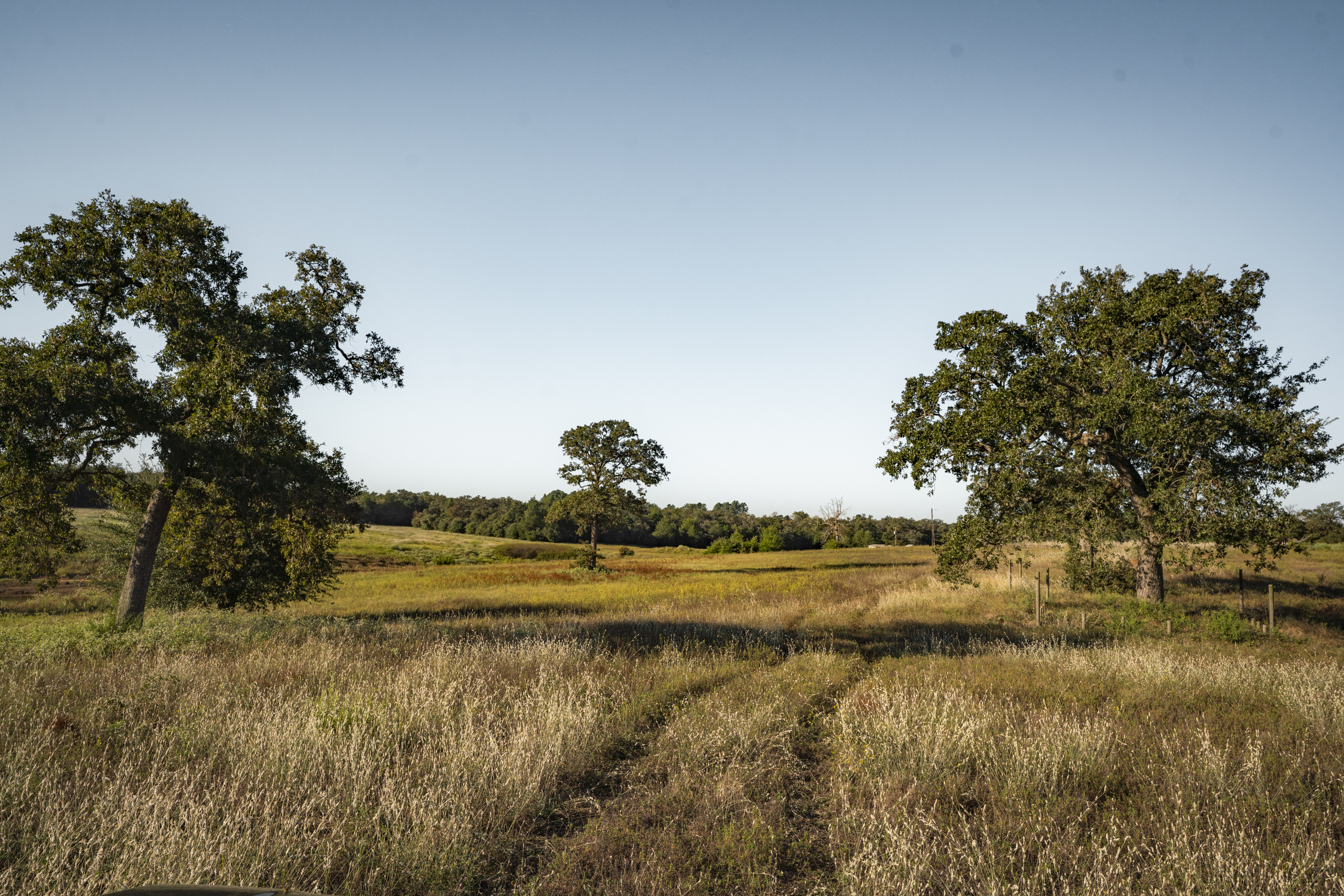 849 County Road 331a Milano TX 76556
