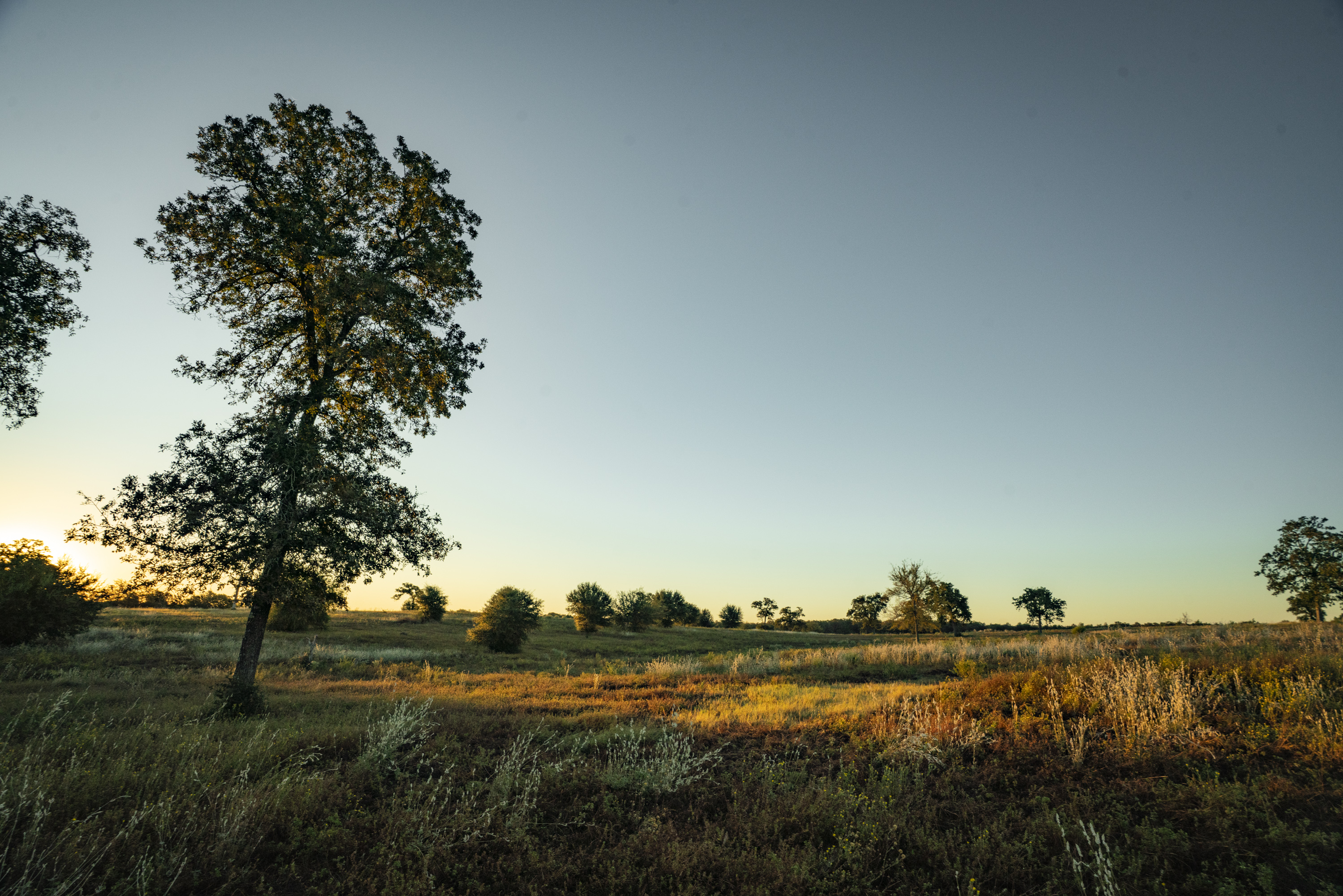849 County Road 331a Milano TX 76556