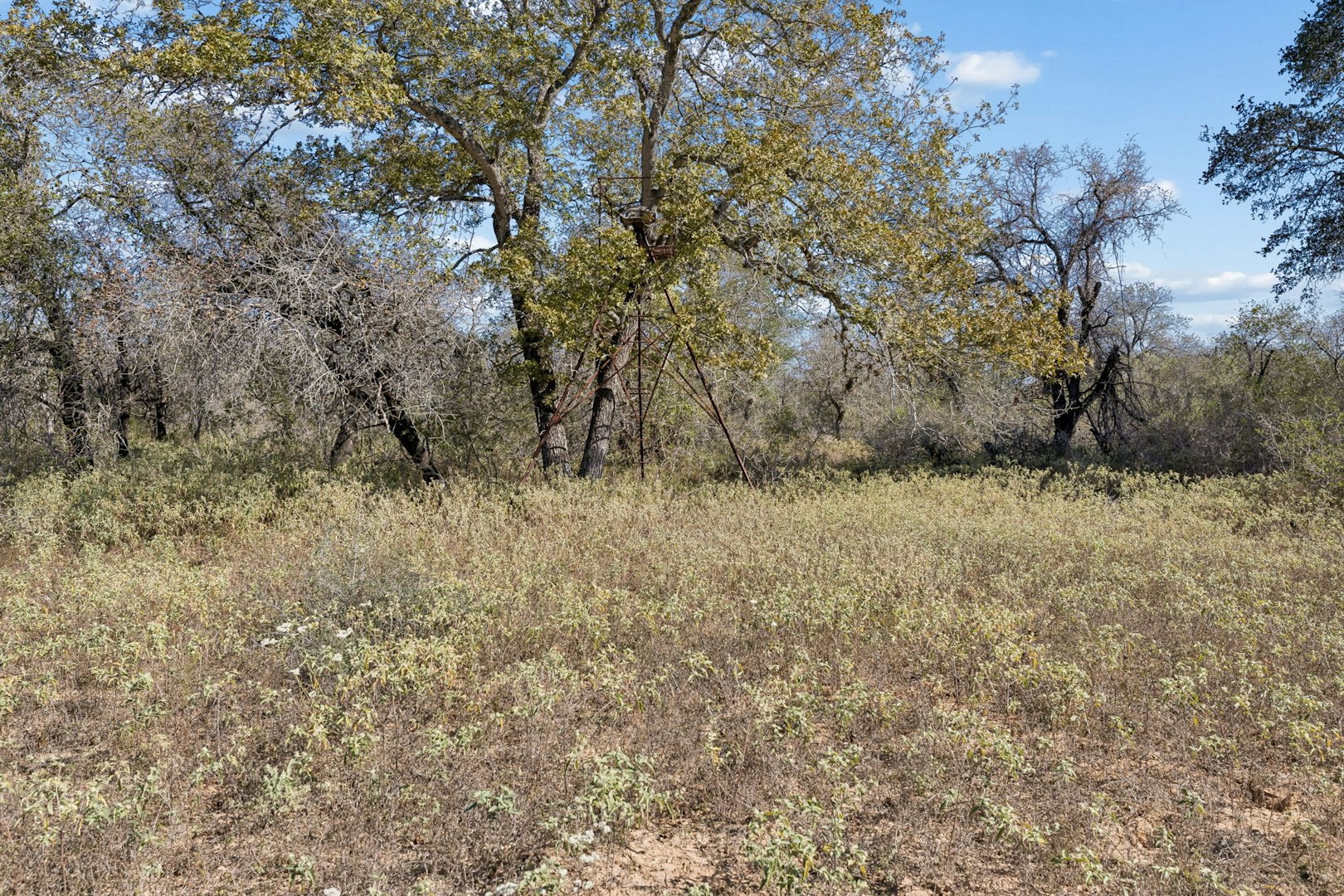 0000 Tbd Adcock Lane Somerset TX 78069