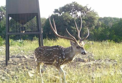 0000 Tbd Cedar Creek Road Brackettville TX 78832