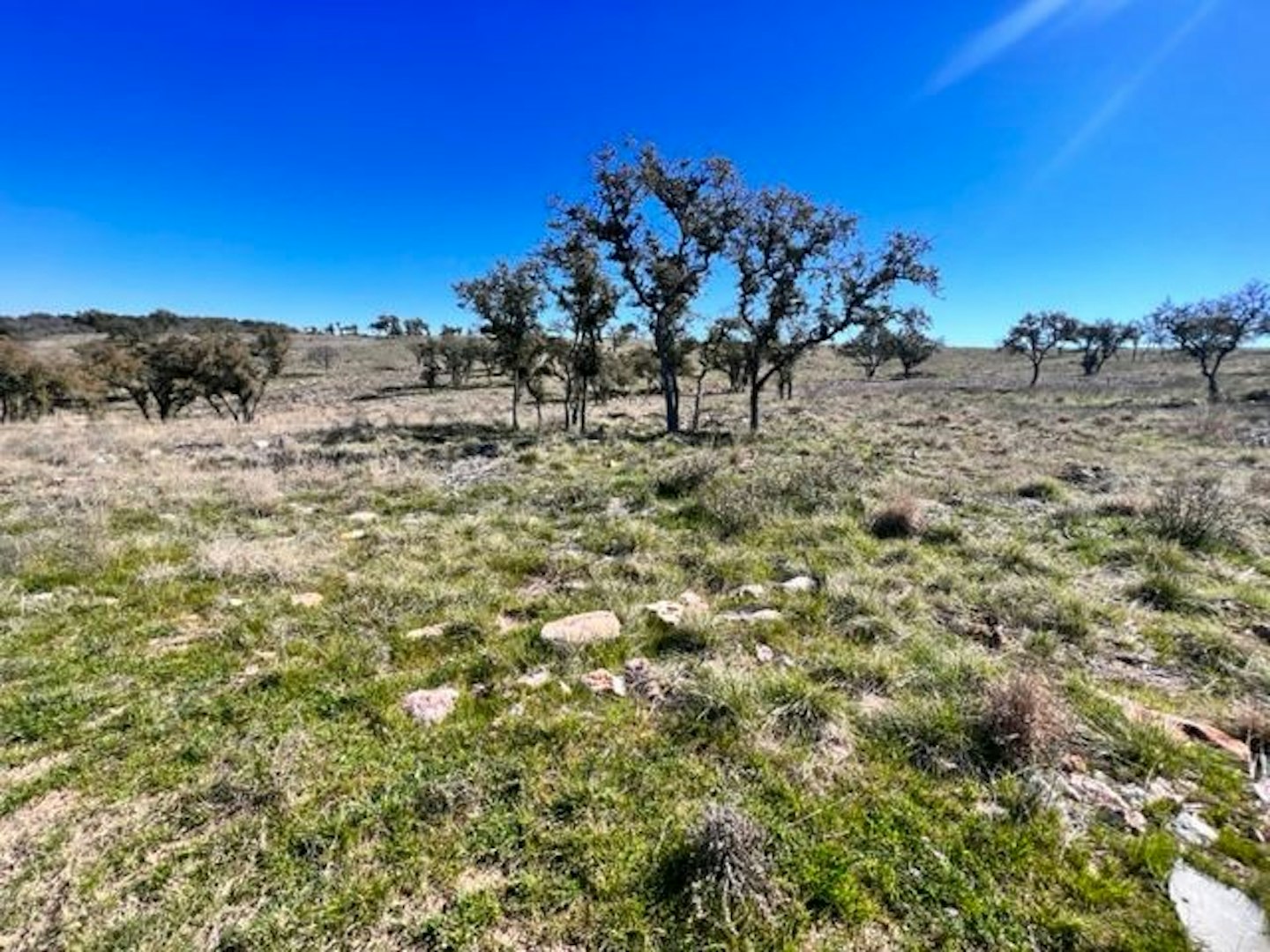 0000 Lot 202 Tbd Westridge Way Kingsland TX 78639