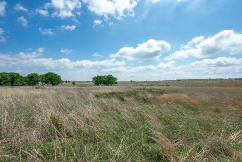 0000 Tbd Browning Road Bellevue TX 76228