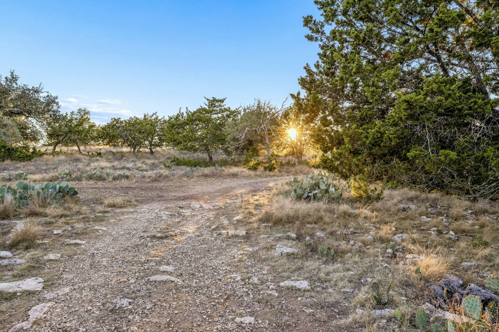 1106 Perry Ranch Road Fredericksburg TX 78624