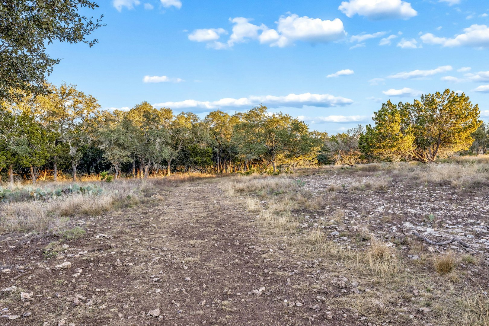 1106 Perry Ranch Road Fredericksburg TX 78624