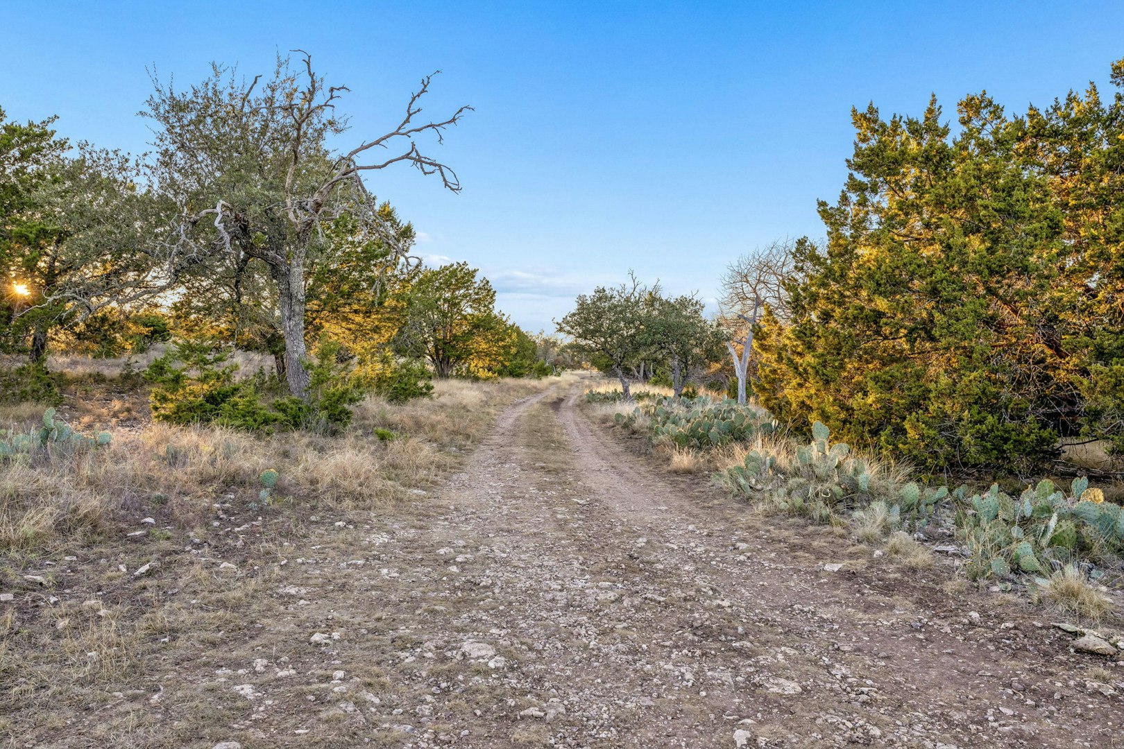 1106 Perry Ranch Road Fredericksburg TX 78624