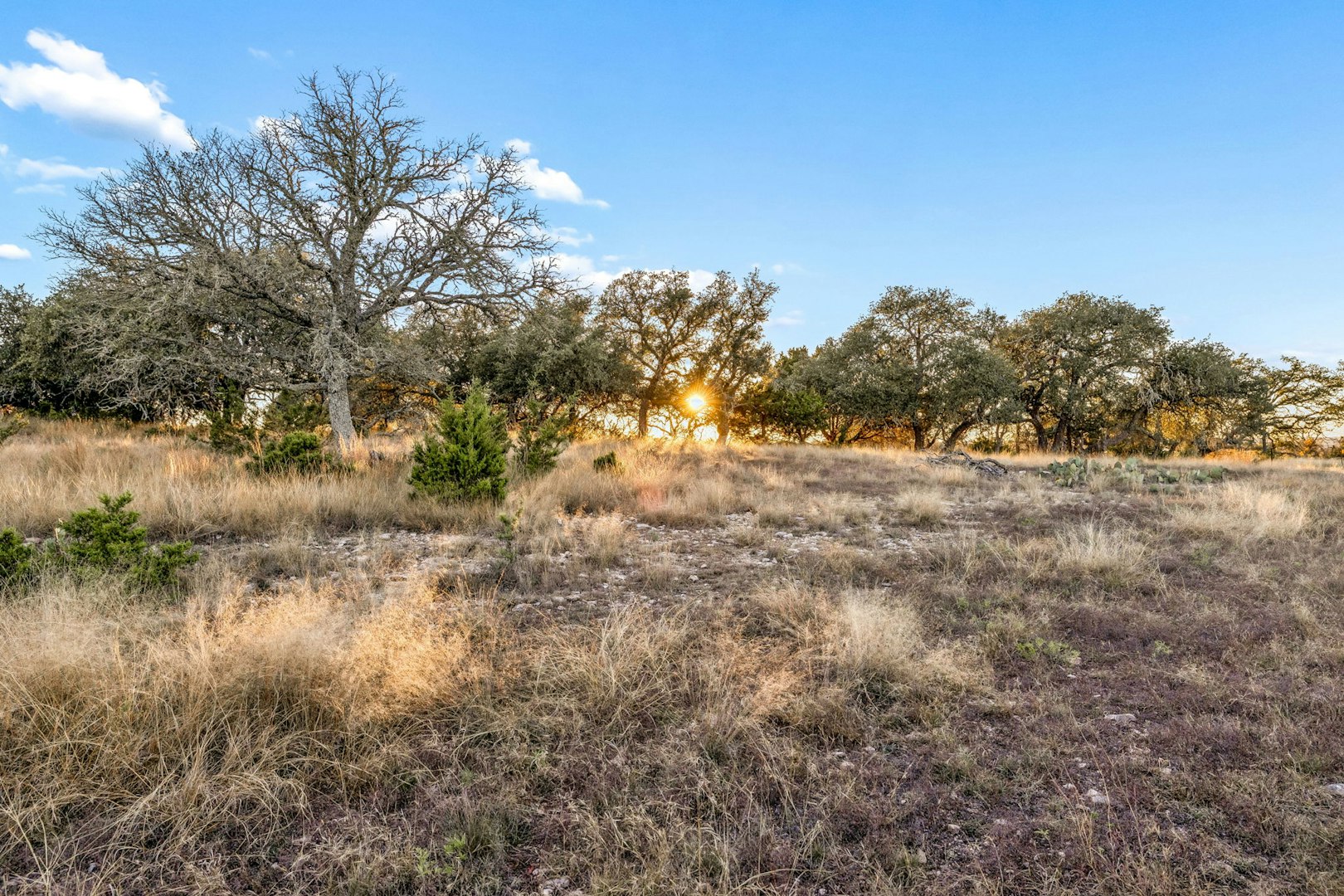 1106 Perry Ranch Road Fredericksburg TX 78624