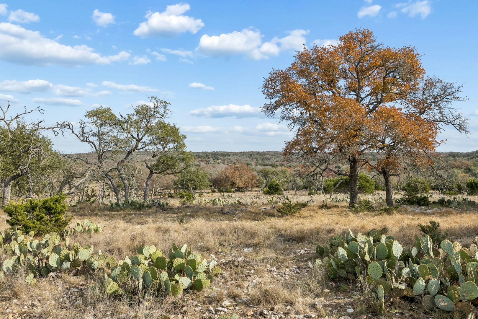 1106 Perry Ranch Road Fredericksburg TX 78624