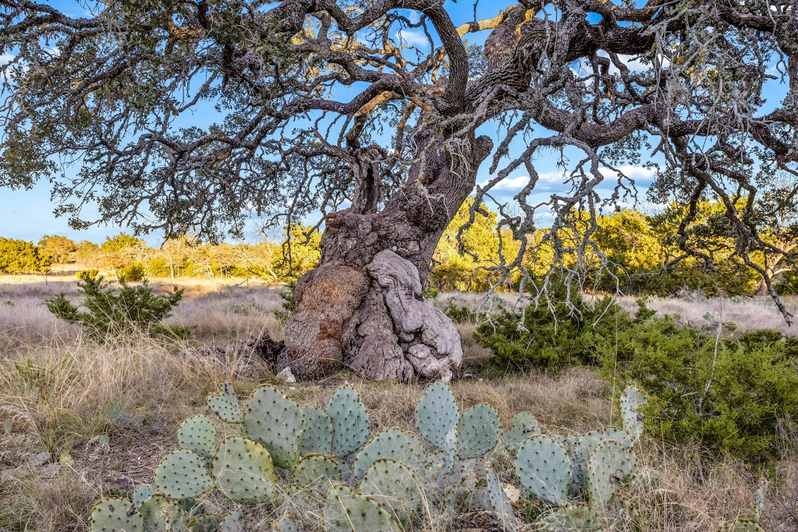 1106 Perry Ranch Road Fredericksburg TX 78624